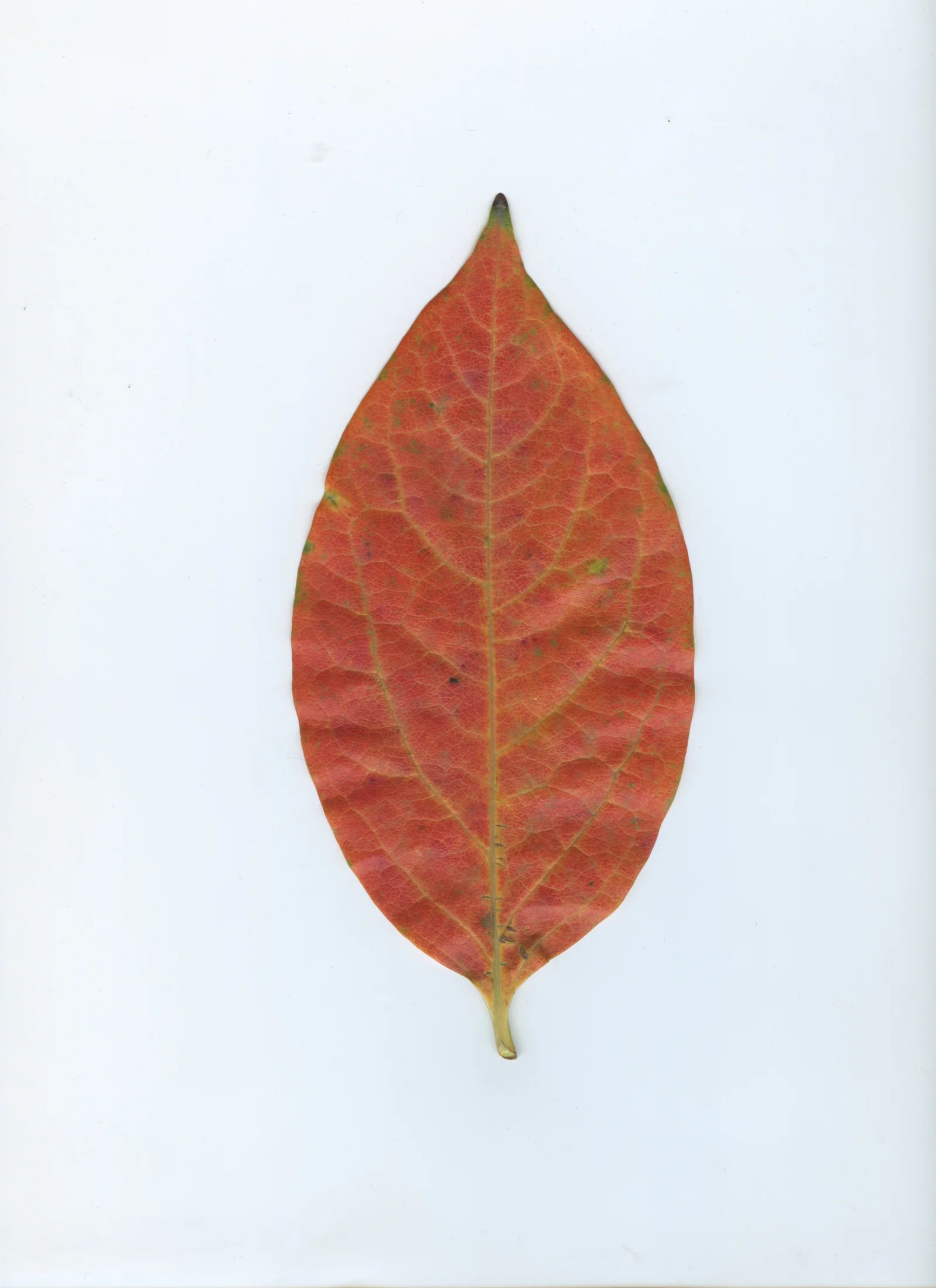 cAn yOu hEAr mE, 2020 — documentation image 01