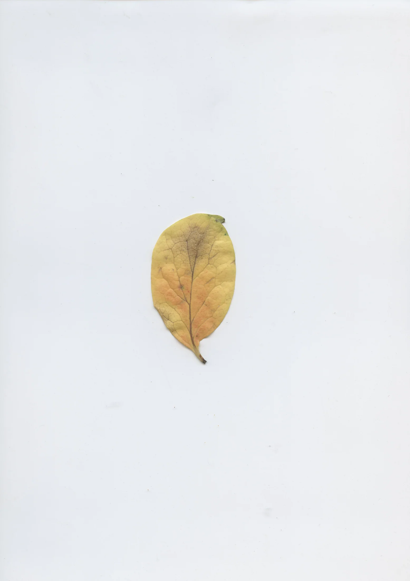 cAn yOu hEAr mE, 2020 — documentation image 05