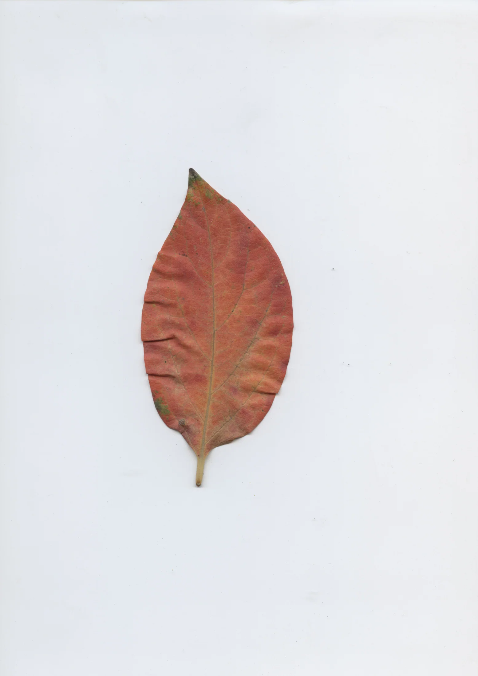 cAn yOu hEAr mE, 2020 — documentation image 06