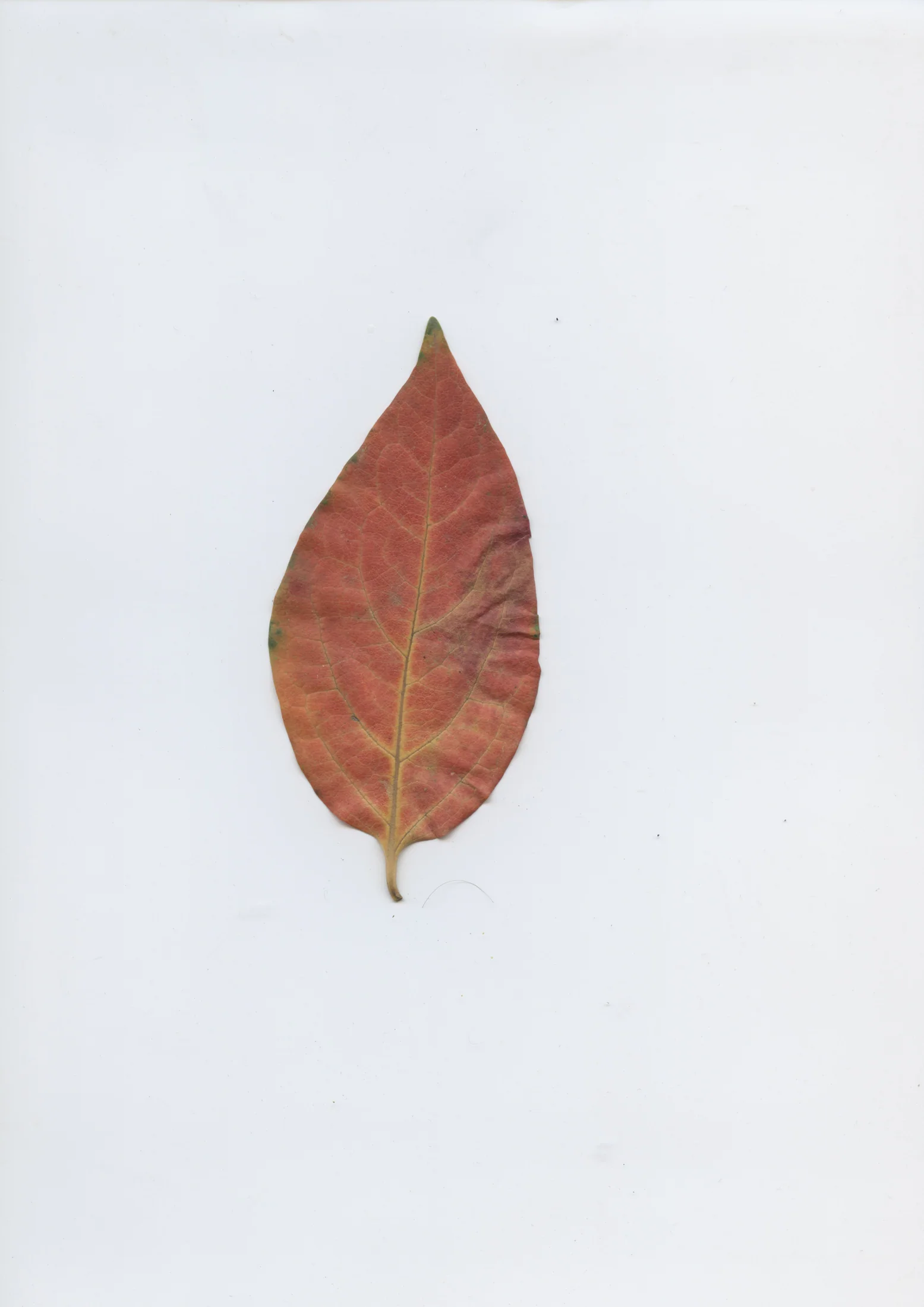 cAn yOu hEAr mE, 2020 — documentation image 10