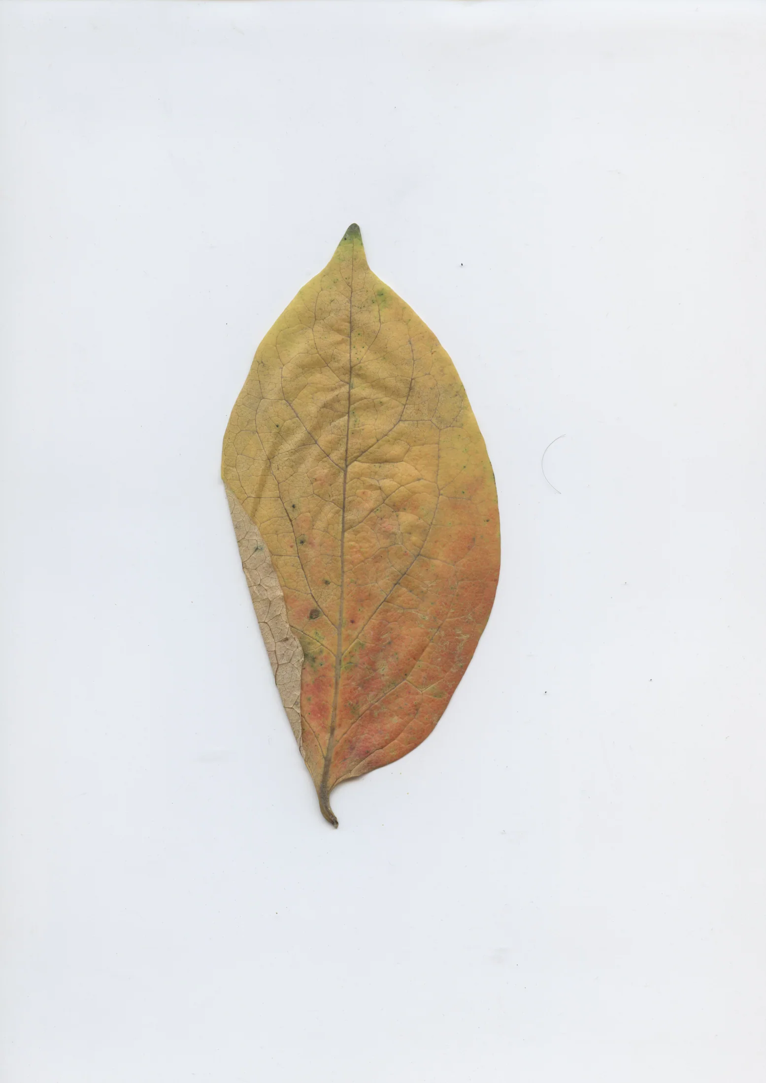 cAn yOu hEAr mE, 2020 — documentation image 11