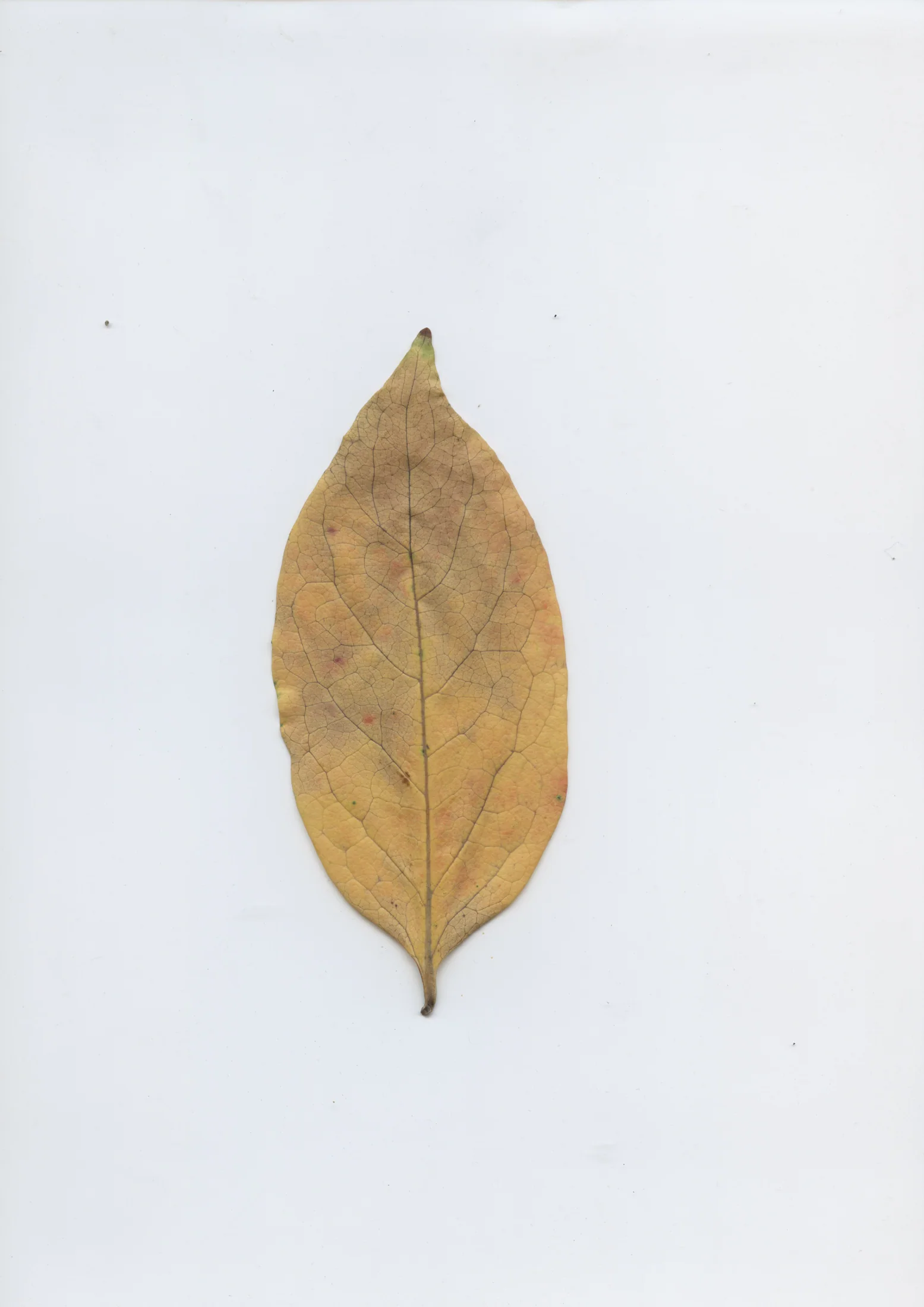 cAn yOu hEAr mE, 2020 — documentation image 15