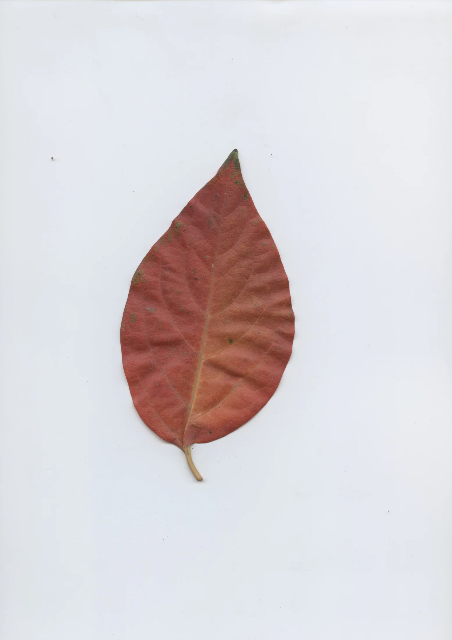 cAn yOu hEAr mE, 2020 — documentation image 16