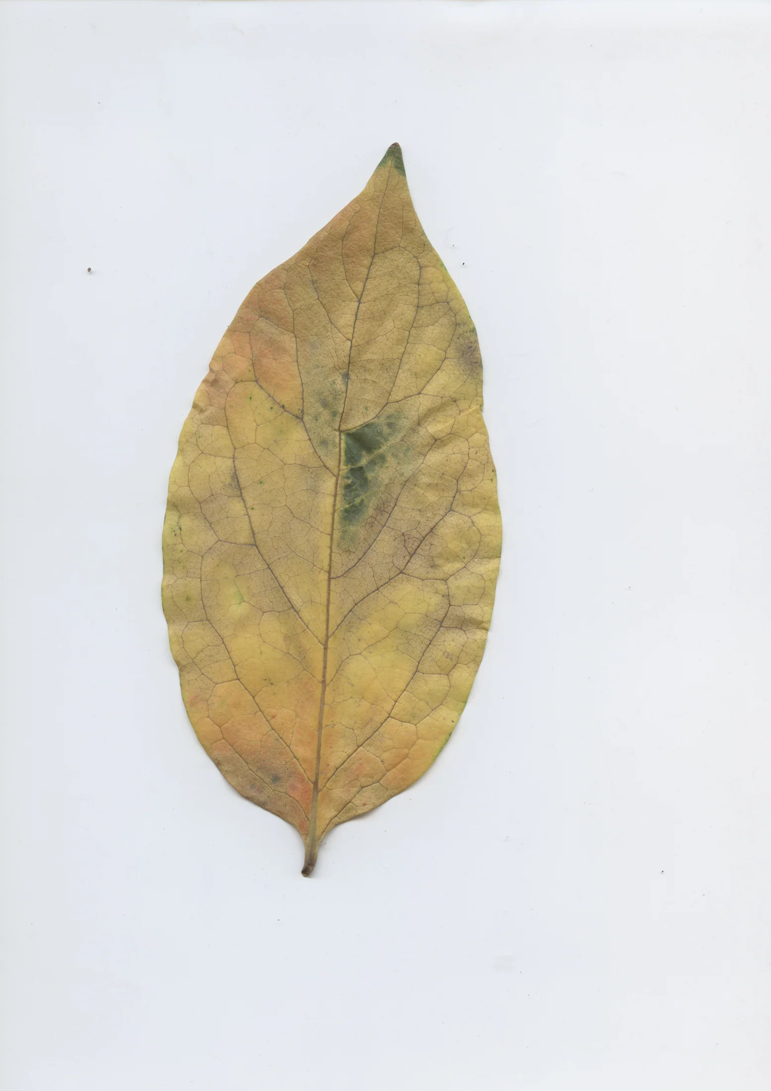 cAn yOu hEAr mE, 2020 — documentation image 18