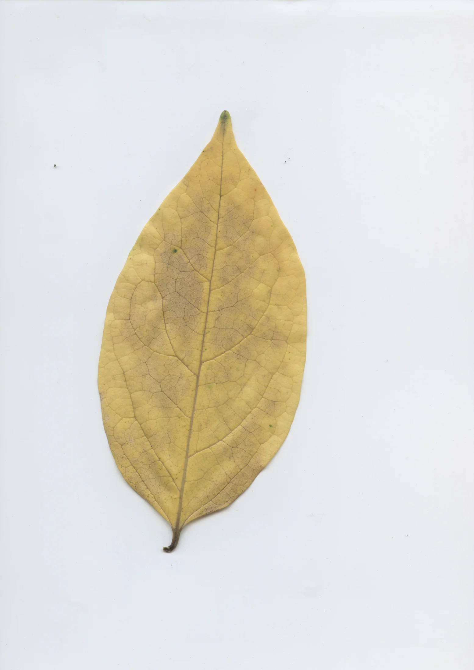cAn yOu hEAr mE, 2020 — documentation image 19