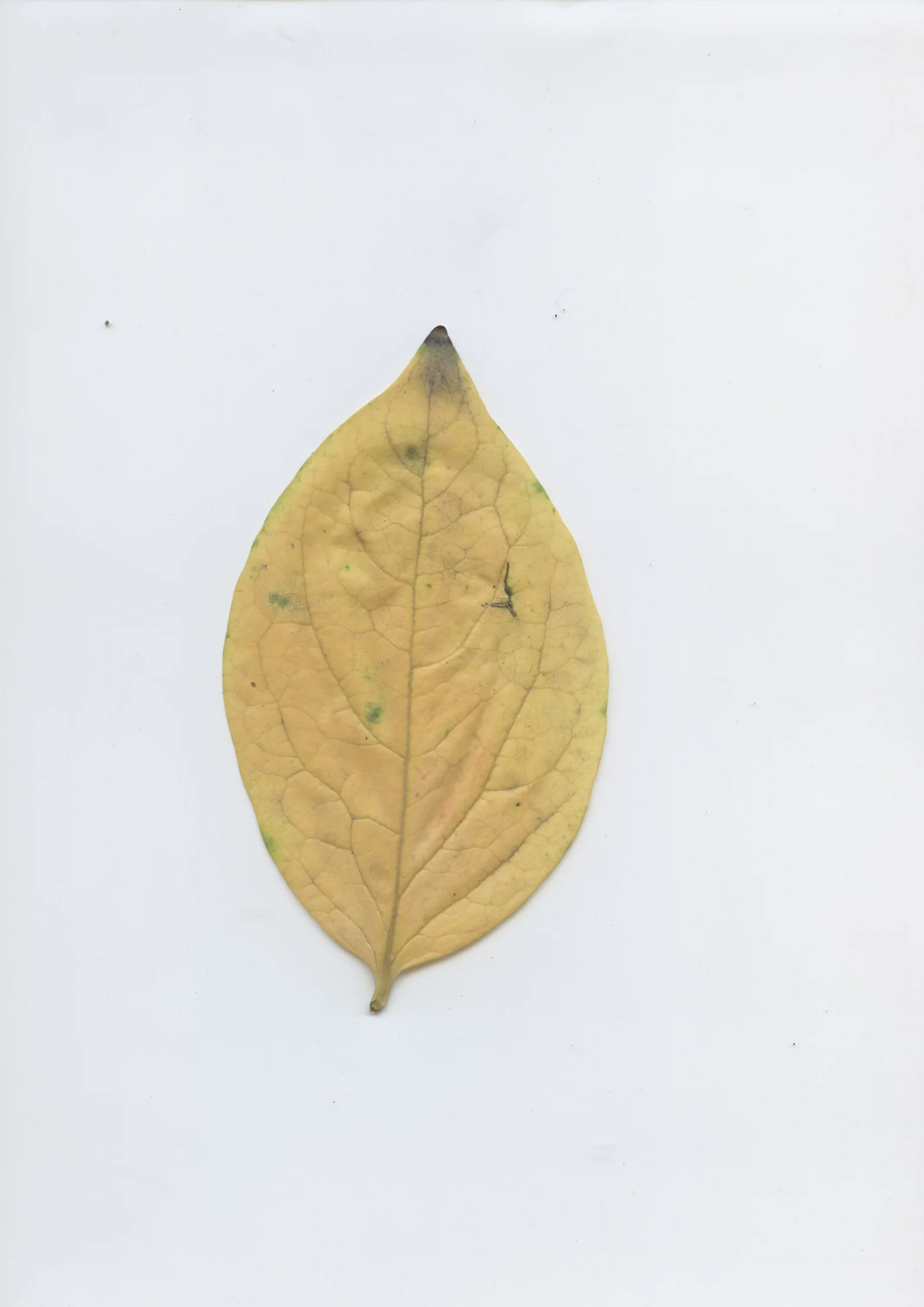 cAn yOu hEAr mE, 2020 — documentation image 21