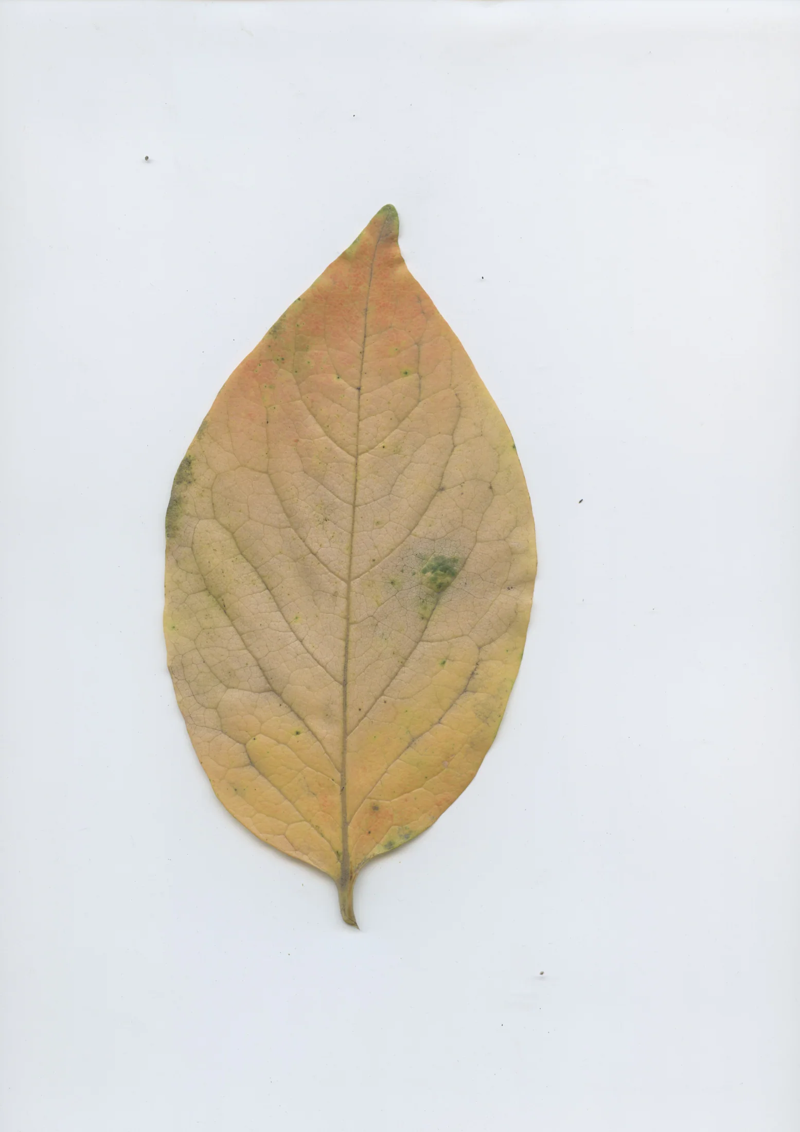 cAn yOu hEAr mE, 2020 — documentation image 28