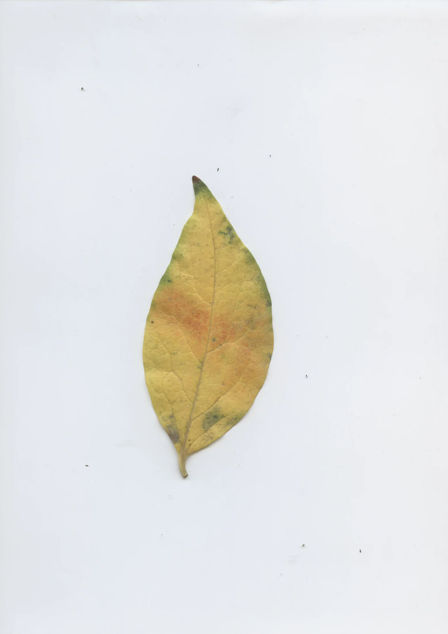 cAn yOu hEAr mE, 2020 — documentation image 29