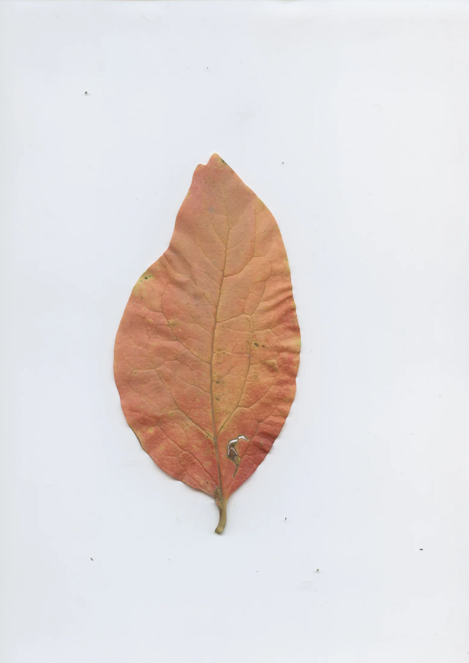 cAn yOu hEAr mE, 2020 — documentation image 30