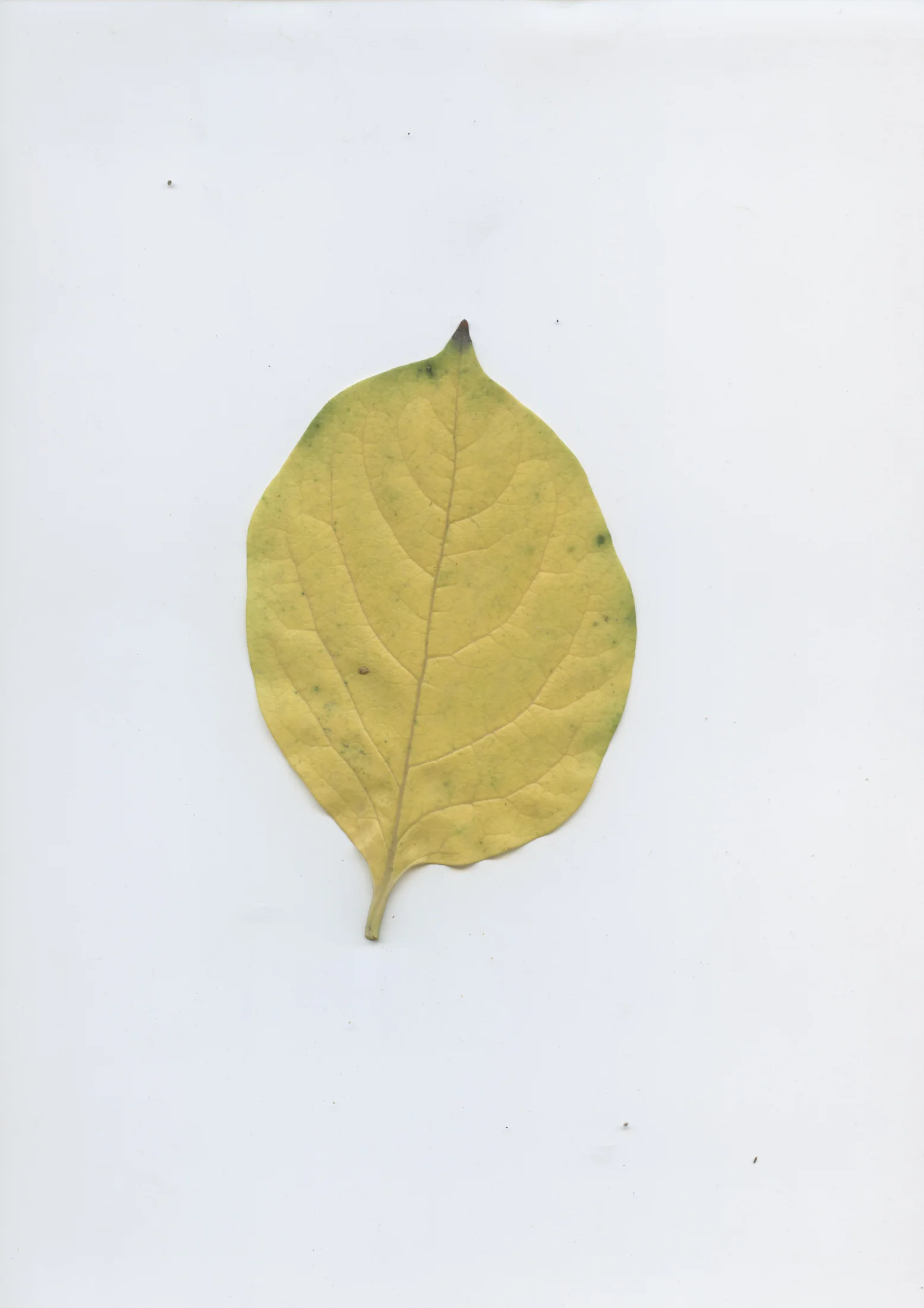 cAn yOu hEAr mE, 2020 — documentation image 31
