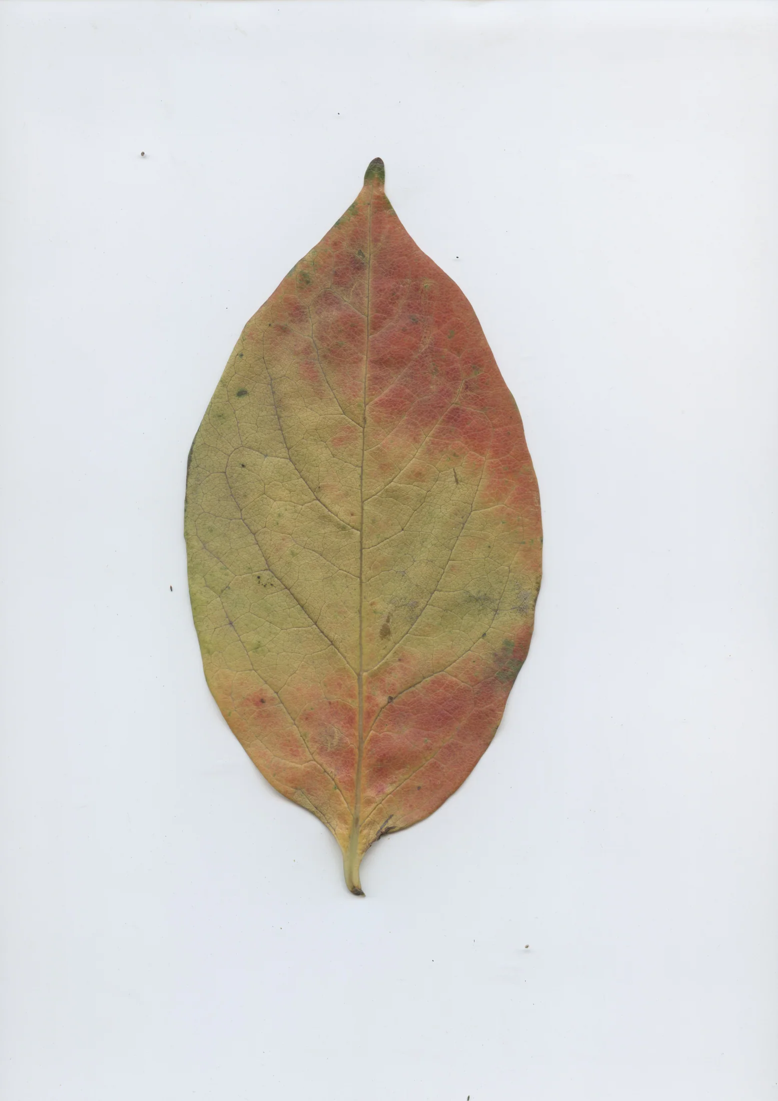 cAn yOu hEAr mE, 2020 — documentation image 32