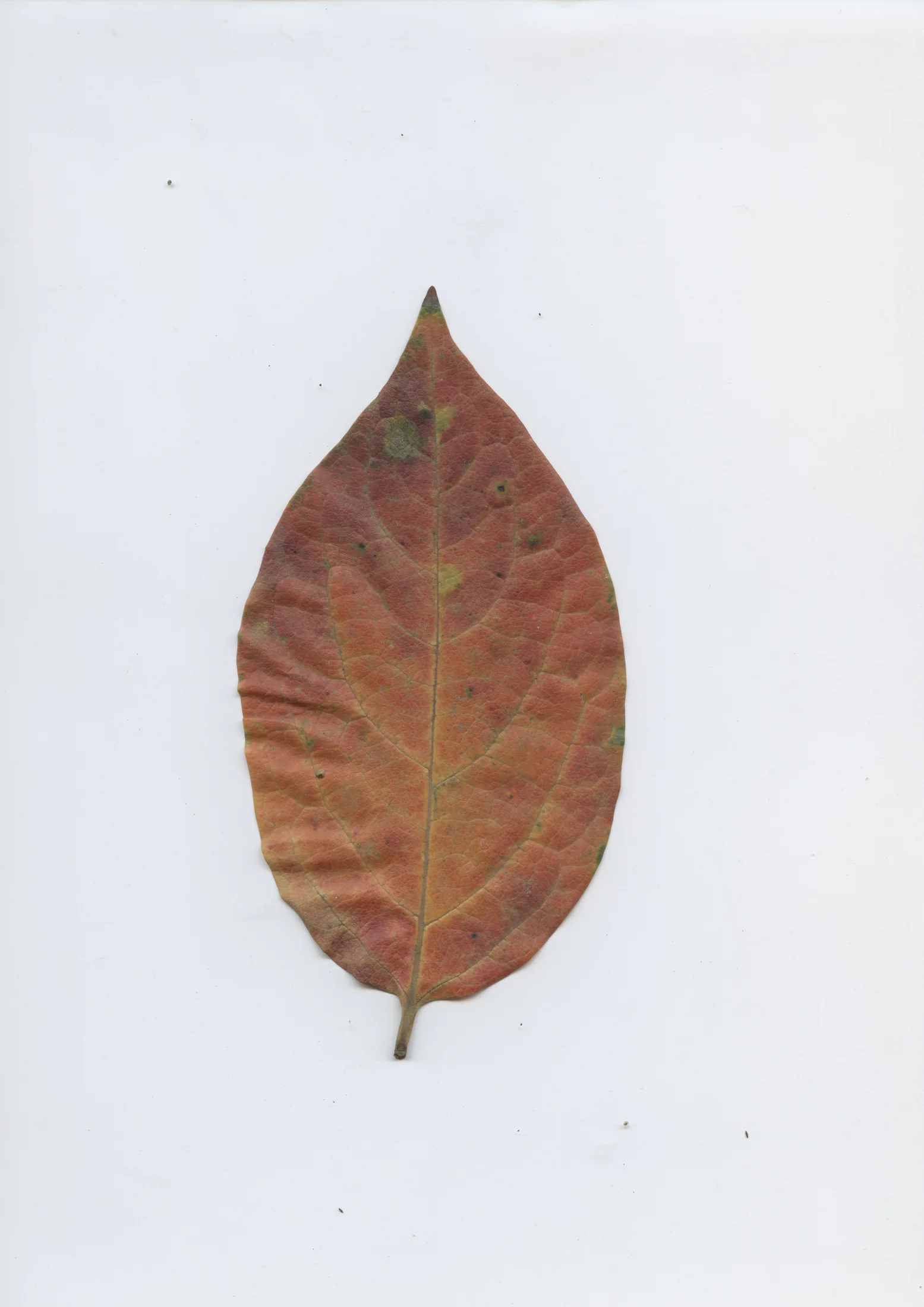 cAn yOu hEAr mE, 2020 — documentation image 33