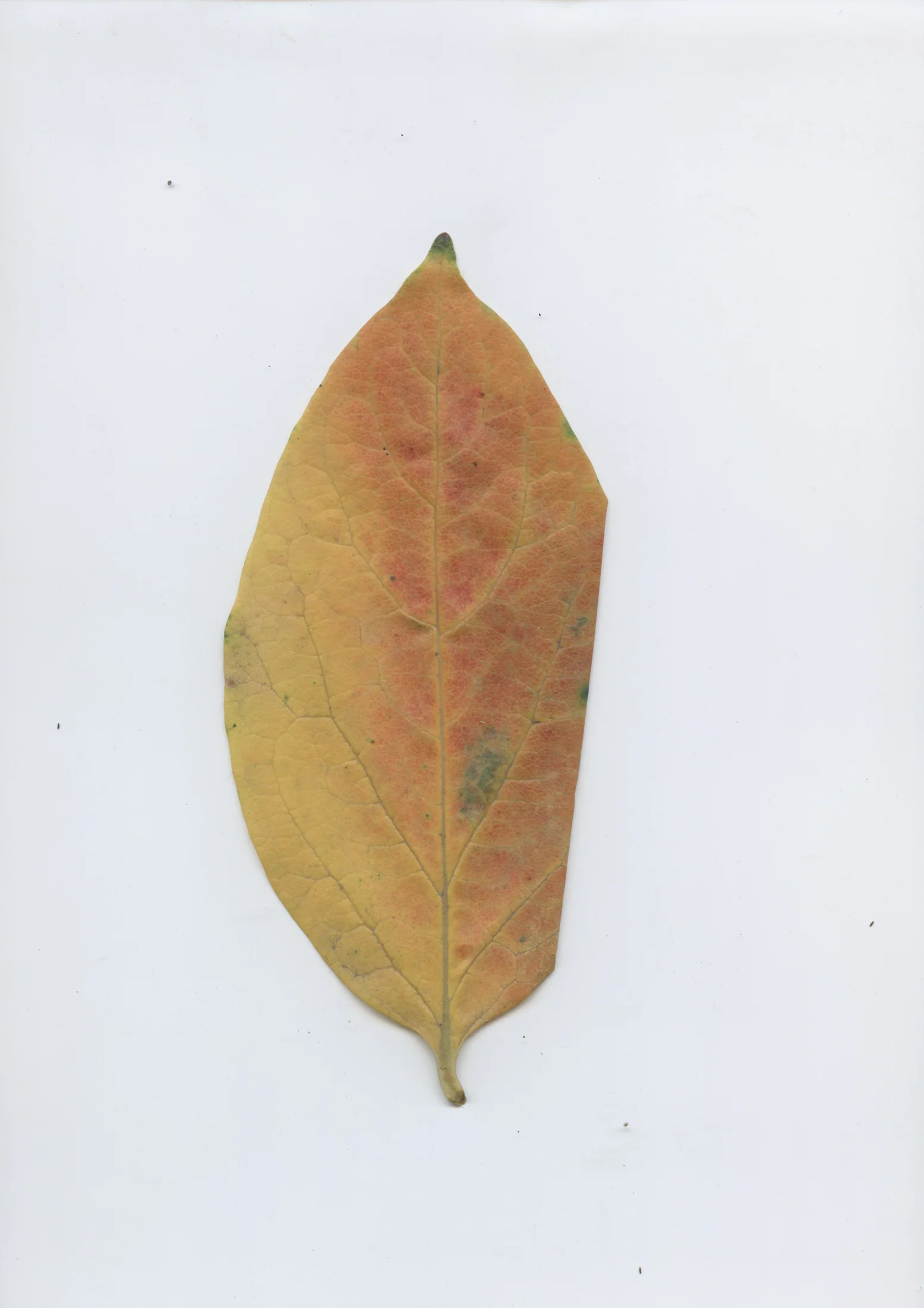 cAn yOu hEAr mE, 2020 — documentation image 34