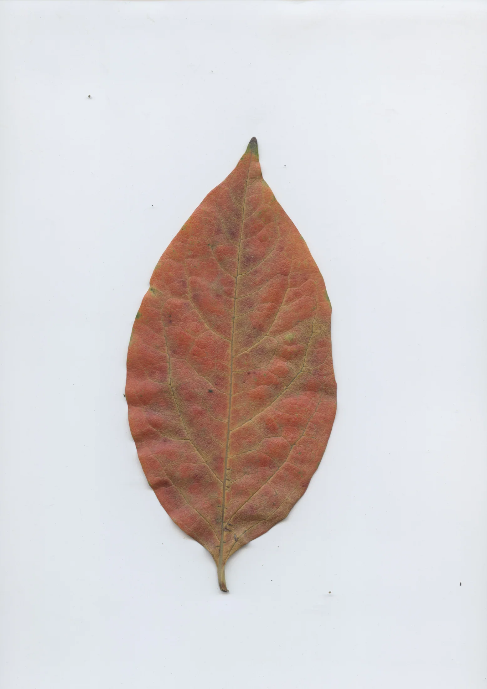 cAn yOu hEAr mE, 2020 — documentation image 35