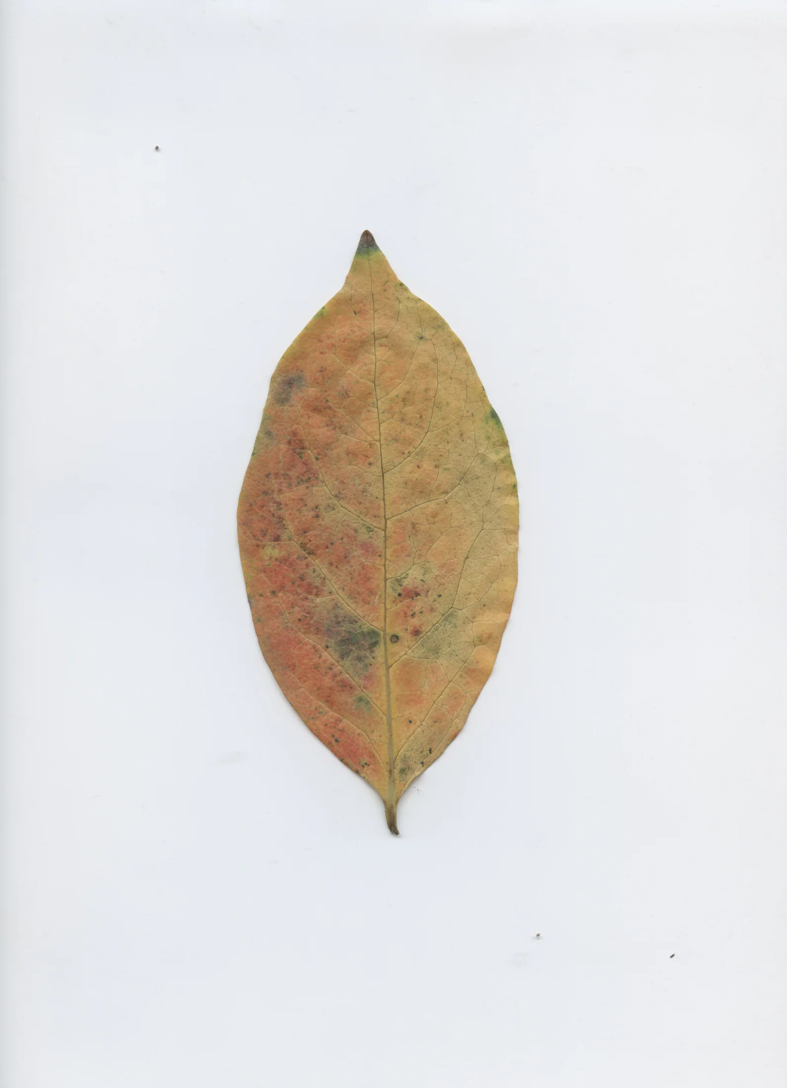 cAn yOu hEAr mE, 2020 — documentation image 36