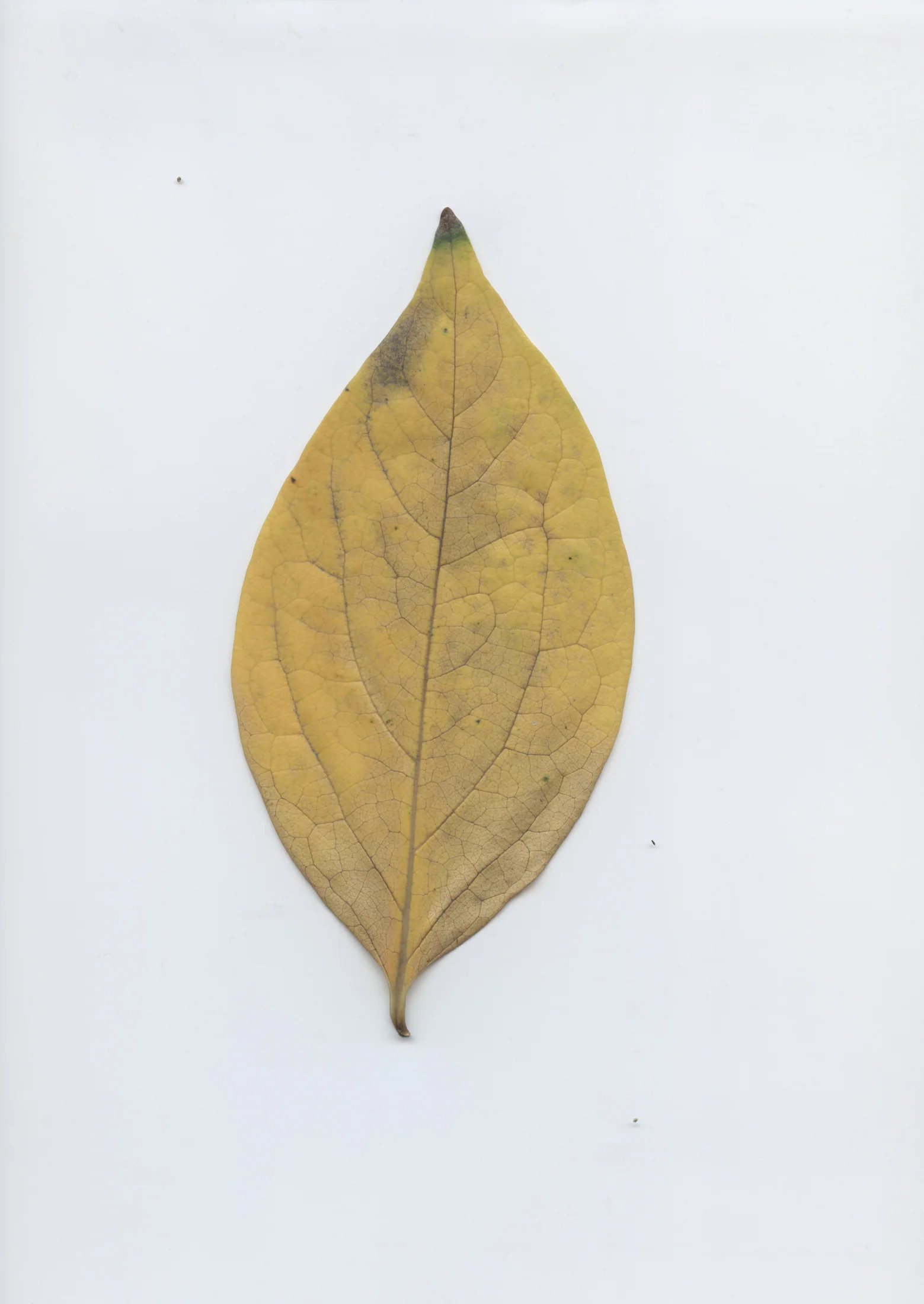 cAn yOu hEAr mE, 2020 — documentation image 37