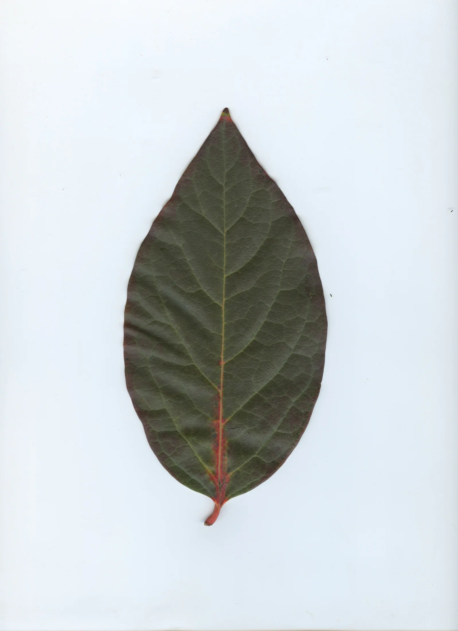 cAn yOu hEAr mE, 2020 — documentation image 40