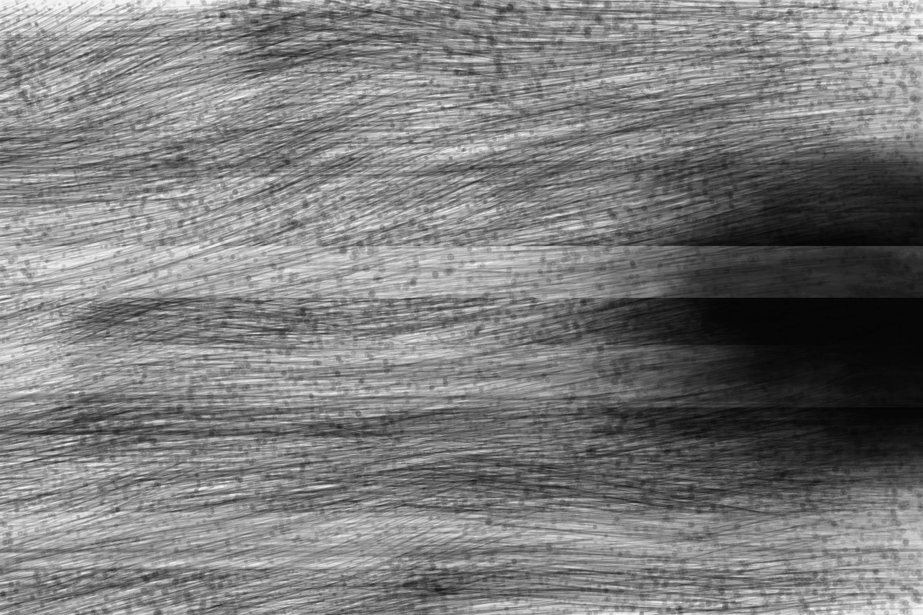 Typhoon Archive, 2026 — generative image 02